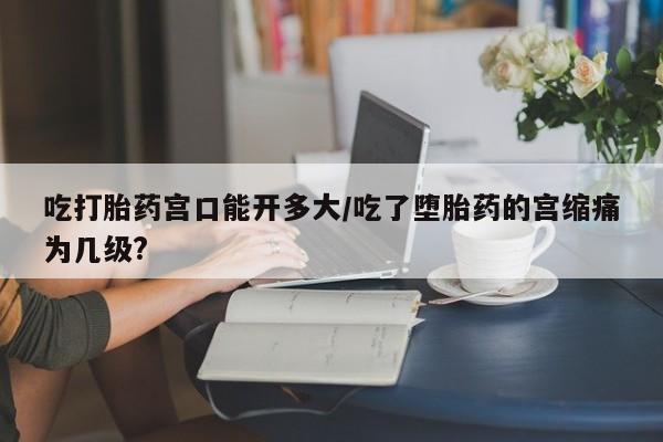打胎药哪里能买到意外怀孕咨询吃打胎药宫口能开多大/吃了堕胎药的宫缩痛为几级?